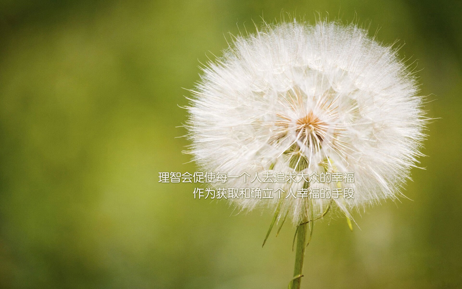 北京国安球队体能提升显著，北京国安足球队实力