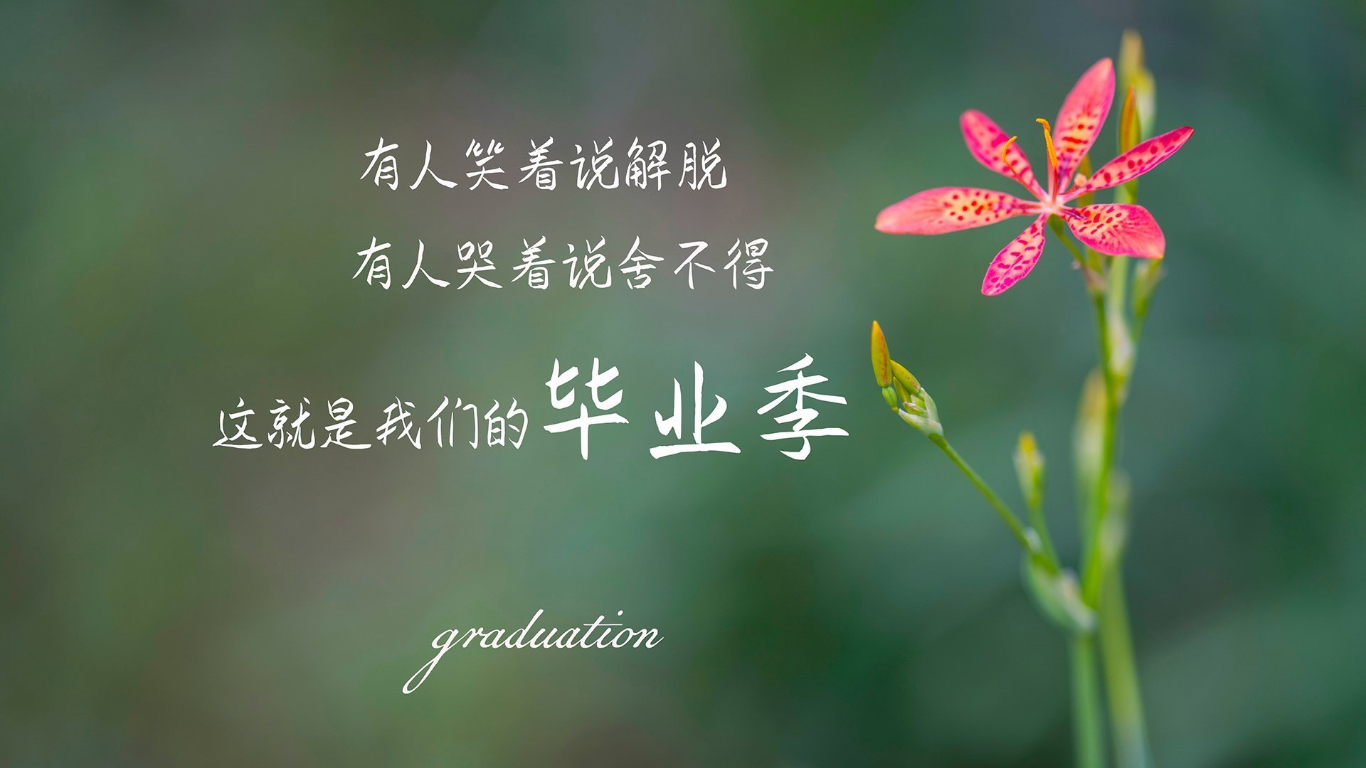 拜仁主场大胜，凭借进攻火力击败对手，球赛拜仁