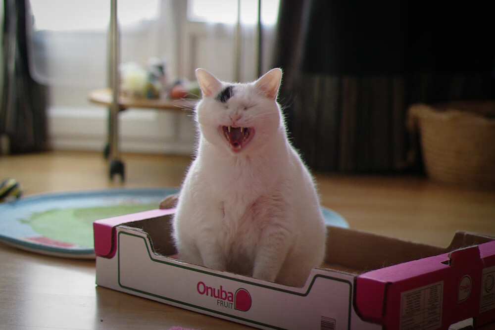 F1赛季积分榜变动频繁 冠军归属悬念丛生,f1比赛积分