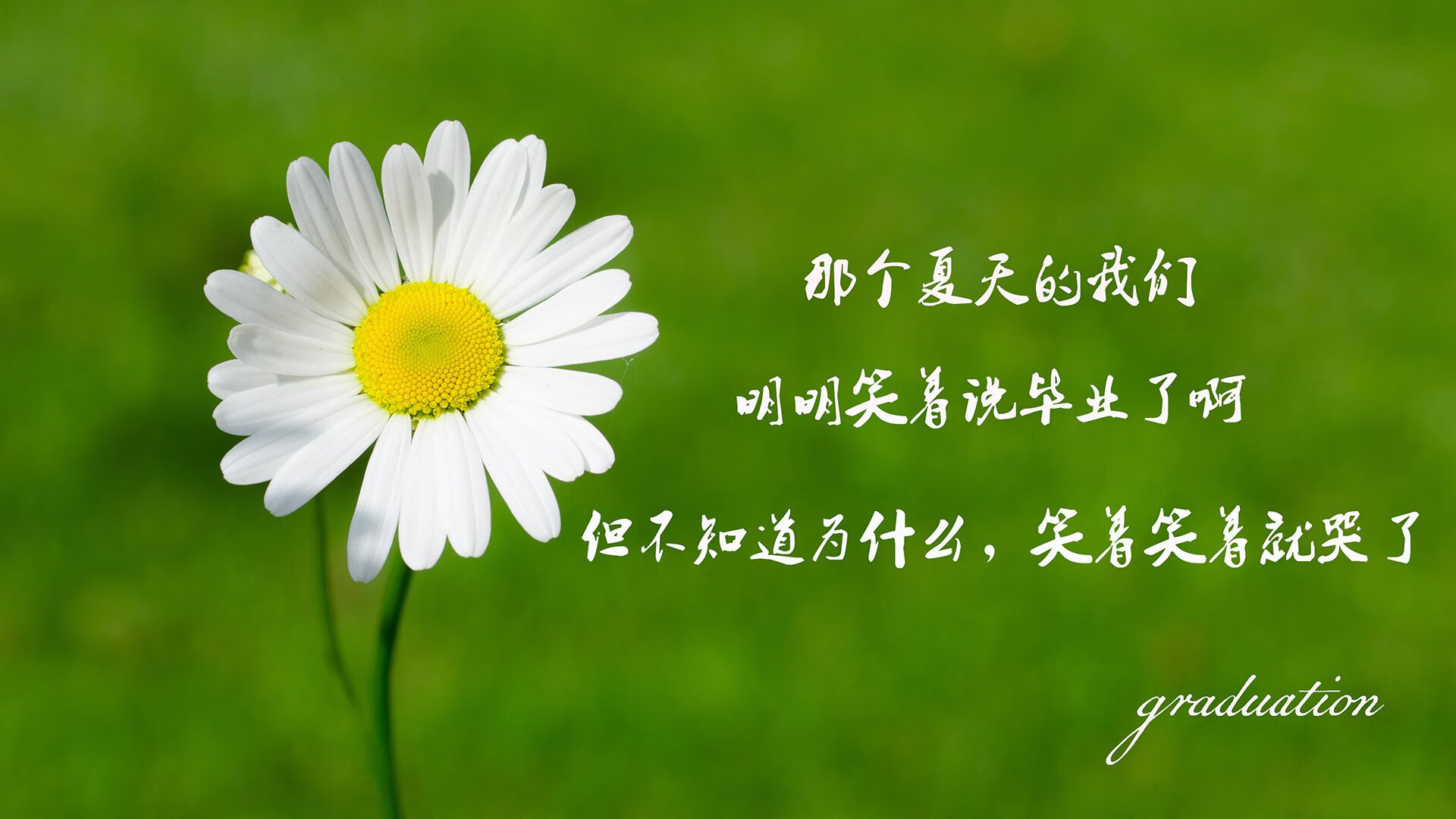 图卢兹前场抢断转化为有效攻势，图卢兹insa