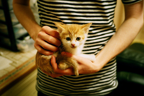 职业球员个人技术评估缺少对手对比维度,球员综合能力评估表