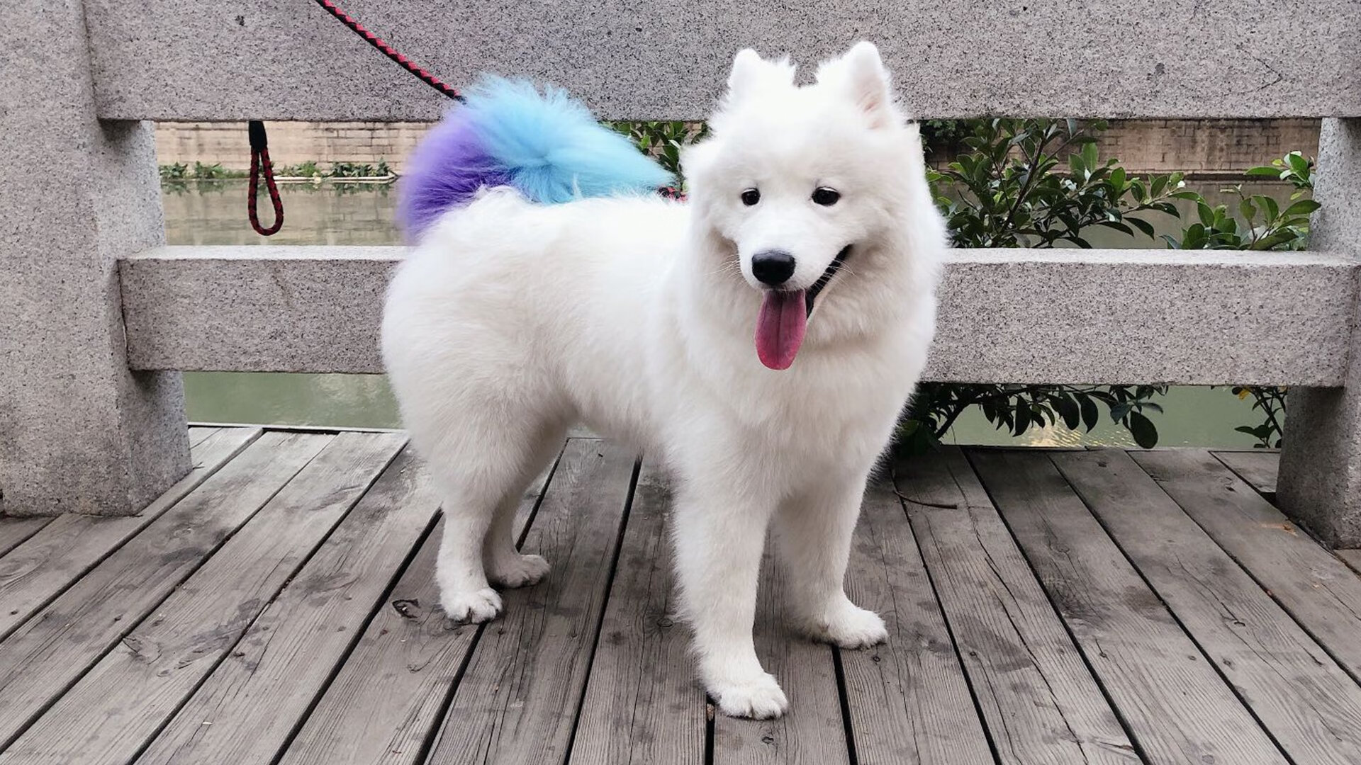 朱婷出席赛后发布会感谢队友支持,朱婷发文告别