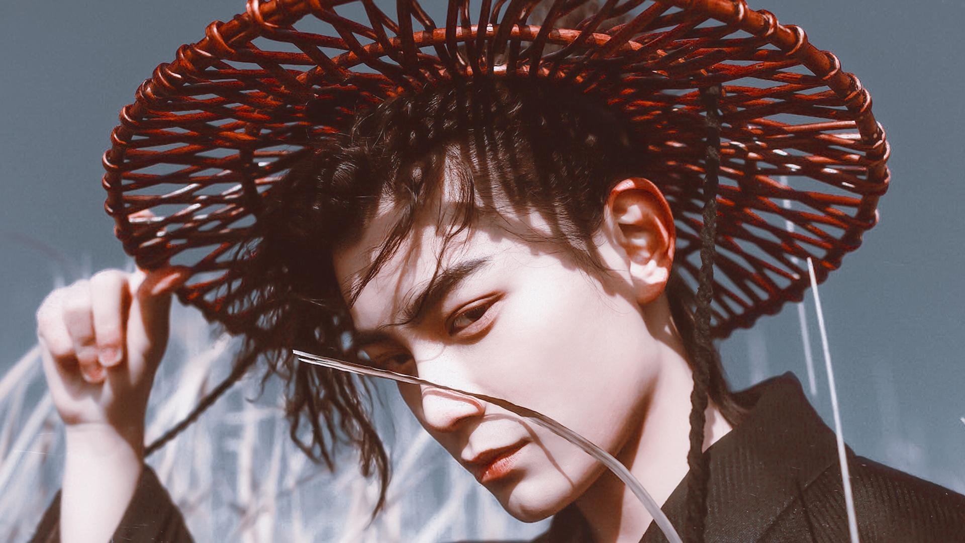 美洲杯明星闪耀:天赋与努力的完美结合,美洲杯有哪些明星