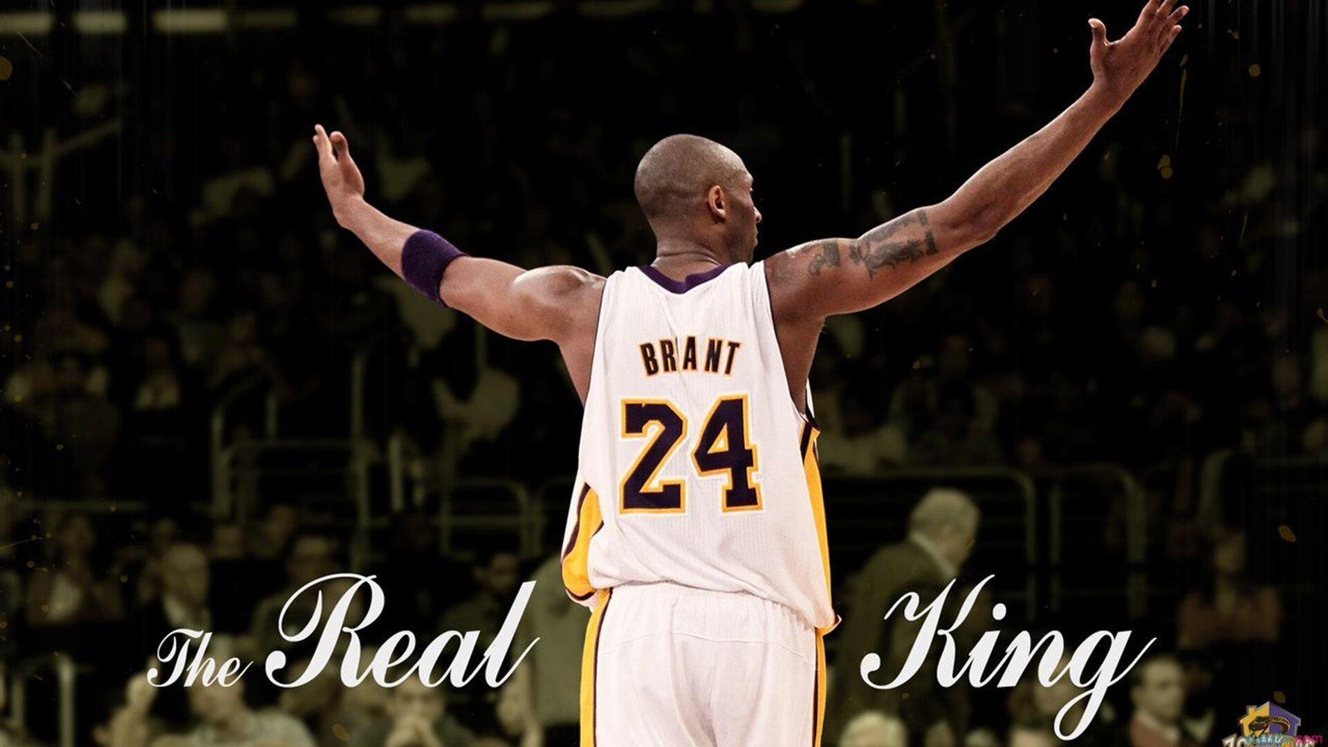 CS_GO亚洲巡回赛上海站火热开启，强者对决，上海cs比赛